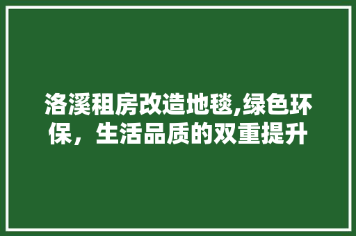 洛溪租房改造地毯,绿色环保，生活品质的双重提升