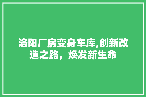 洛阳厂房变身车库,创新改造之路，焕发新生命