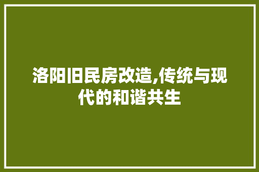 洛阳旧民房改造,传统与现代的和谐共生