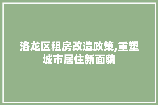 洛龙区租房改造政策,重塑城市居住新面貌