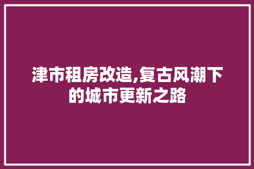 津市租房改造,复古风潮下的城市更新之路