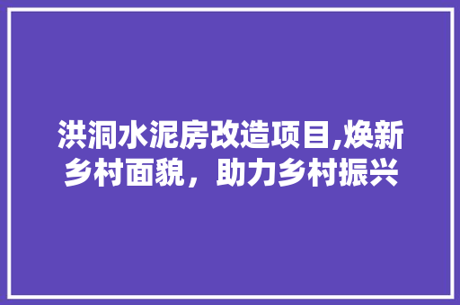 洪洞水泥房改造项目,焕新乡村面貌，助力乡村振兴