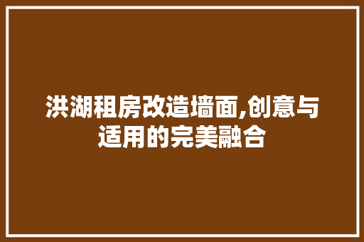 洪湖租房改造墙面,创意与适用的完美融合