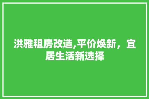 洪雅租房改造,平价焕新，宜居生活新选择