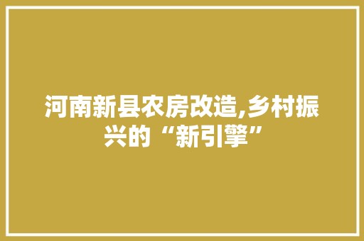 河南新县农房改造,乡村振兴的“新引擎”