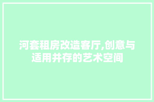 河套租房改造客厅,创意与适用并存的艺术空间