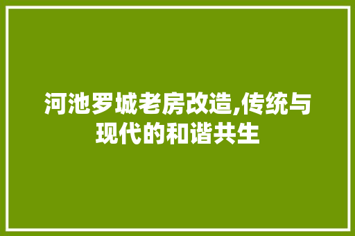 河池罗城老房改造,传统与现代的和谐共生