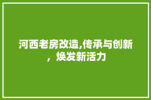 河西老房改造,传承与创新，焕发新活力