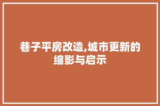 巷子平房改造,城市更新的缩影与启示