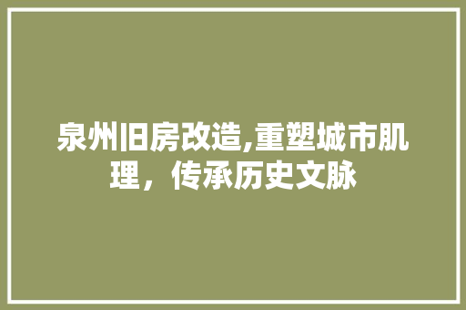 泉州旧房改造,重塑城市肌理，传承历史文脉