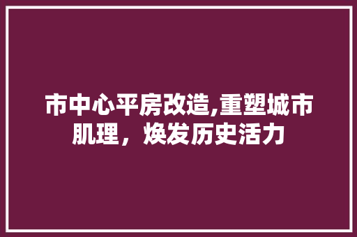 市中心平房改造,重塑城市肌理，焕发历史活力