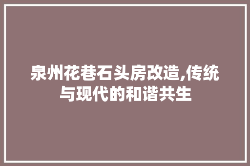 泉州花巷石头房改造,传统与现代的和谐共生