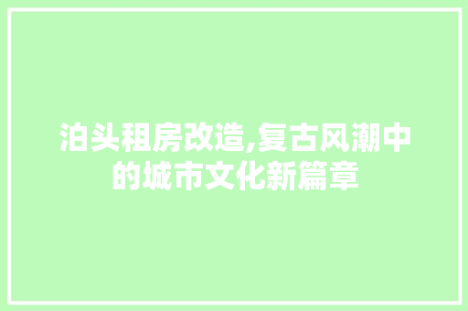 泊头租房改造,复古风潮中的城市文化新篇章