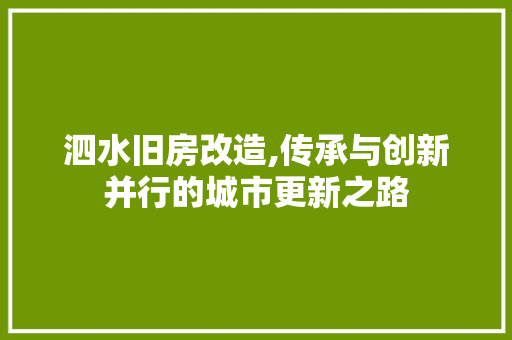 泗水旧房改造,传承与创新并行的城市更新之路