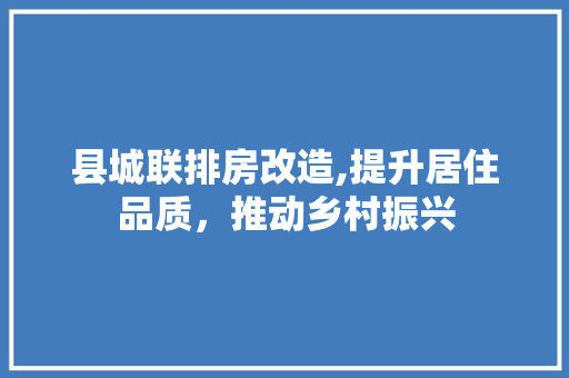 县城联排房改造,提升居住品质，推动乡村振兴