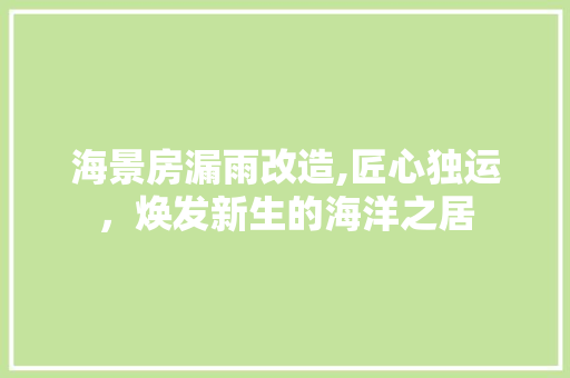 海景房漏雨改造,匠心独运，焕发新生的海洋之居