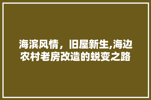 海滨风情，旧屋新生,海边农村老房改造的蜕变之路