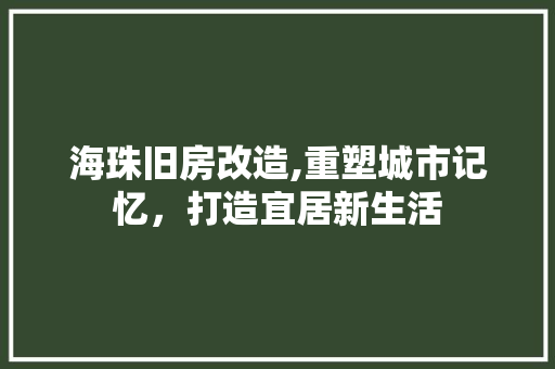 海珠旧房改造,重塑城市记忆，打造宜居新生活
