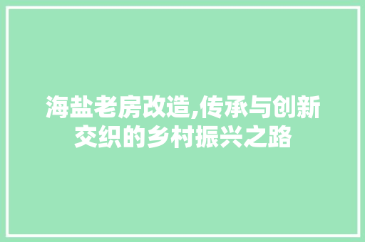 海盐老房改造,传承与创新交织的乡村振兴之路