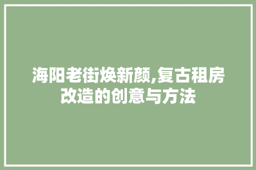 海阳老街焕新颜,复古租房改造的创意与方法