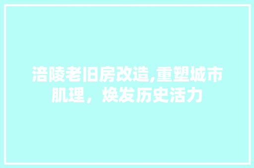 涪陵老旧房改造,重塑城市肌理，焕发历史活力