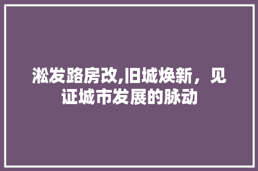 淞发路房改,旧城焕新，见证城市发展的脉动