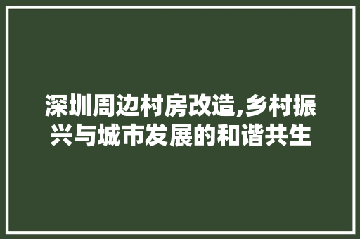 深圳周边村房改造,乡村振兴与城市发展的和谐共生