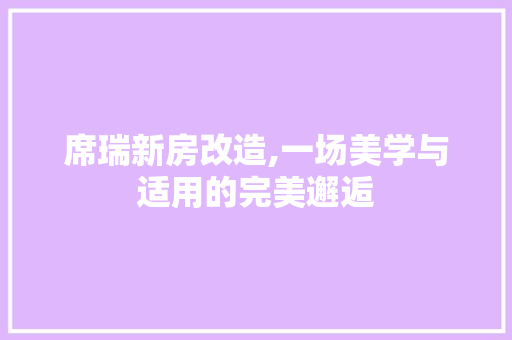 席瑞新房改造,一场美学与适用的完美邂逅