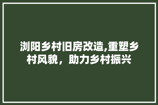 浏阳乡村旧房改造,重塑乡村风貌，助力乡村振兴