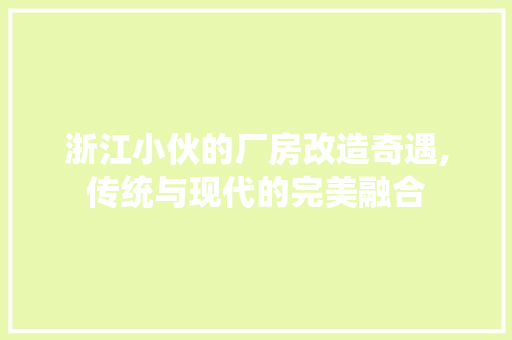 浙江小伙的厂房改造奇遇,传统与现代的完美融合