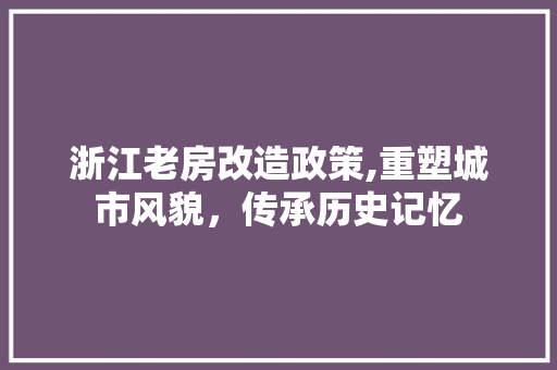 浙江老房改造政策,重塑城市风貌，传承历史记忆