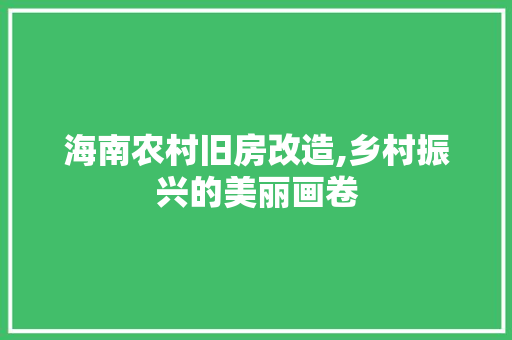 海南农村旧房改造,乡村振兴的美丽画卷