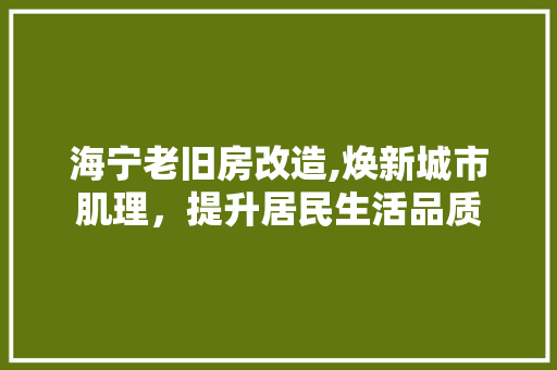 海宁老旧房改造,焕新城市肌理，提升居民生活品质