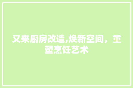 又来厨房改造,焕新空间，重塑烹饪艺术