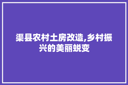 渠县农村土房改造,乡村振兴的美丽蜕变