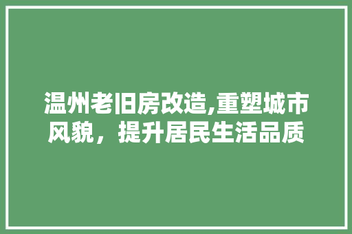 温州老旧房改造,重塑城市风貌，提升居民生活品质