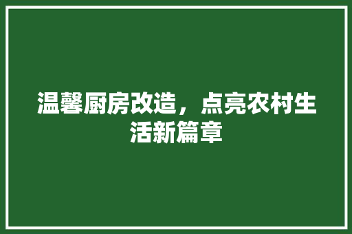 温馨厨房改造，点亮农村生活新篇章