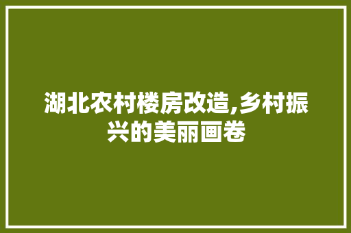 湖北农村楼房改造,乡村振兴的美丽画卷