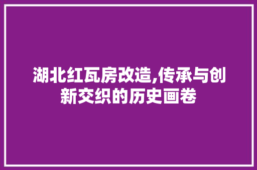 湖北红瓦房改造,传承与创新交织的历史画卷