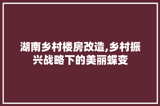湖南乡村楼房改造,乡村振兴战略下的美丽蝶变