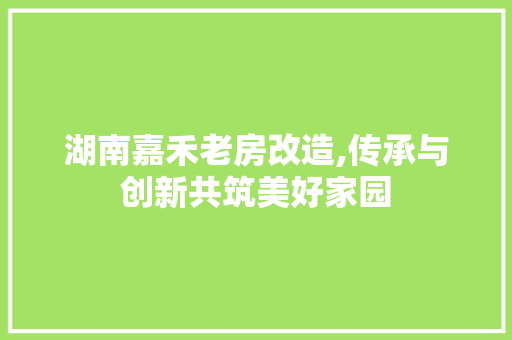 湖南嘉禾老房改造,传承与创新共筑美好家园