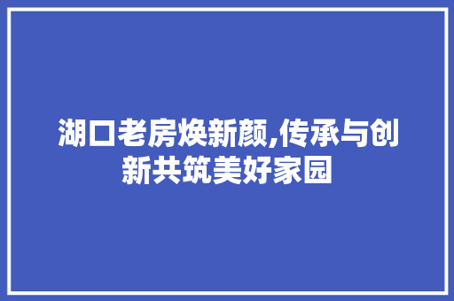 湖口老房焕新颜,传承与创新共筑美好家园