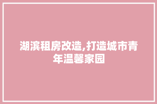 湖滨租房改造,打造城市青年温馨家园