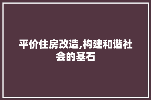 平价住房改造,构建和谐社会的基石