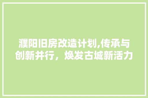 濮阳旧房改造计划,传承与创新并行，焕发古城新活力