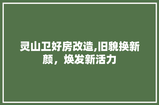 灵山卫好房改造,旧貌换新颜，焕发新活力