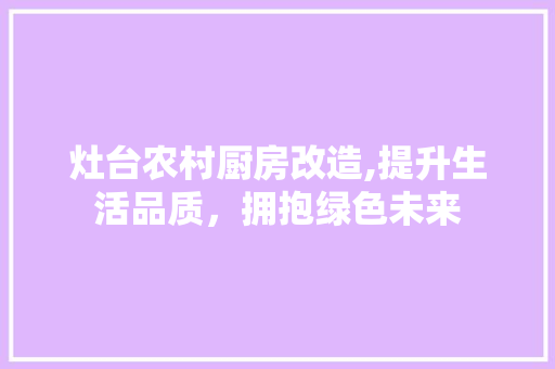 灶台农村厨房改造,提升生活品质，拥抱绿色未来