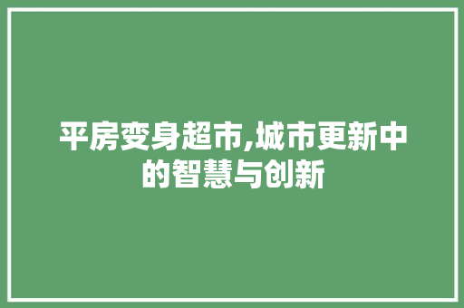 平房变身超市,城市更新中的智慧与创新