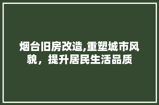 烟台旧房改造,重塑城市风貌，提升居民生活品质