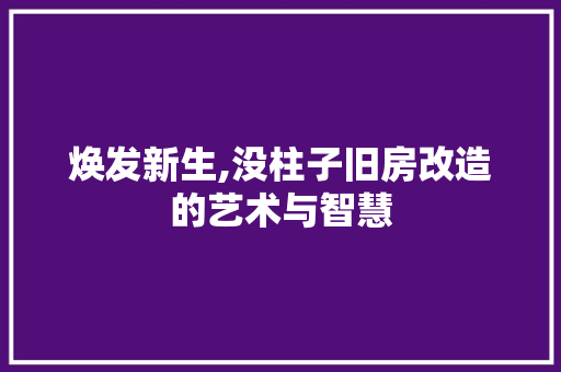 焕发新生,没柱子旧房改造的艺术与智慧
